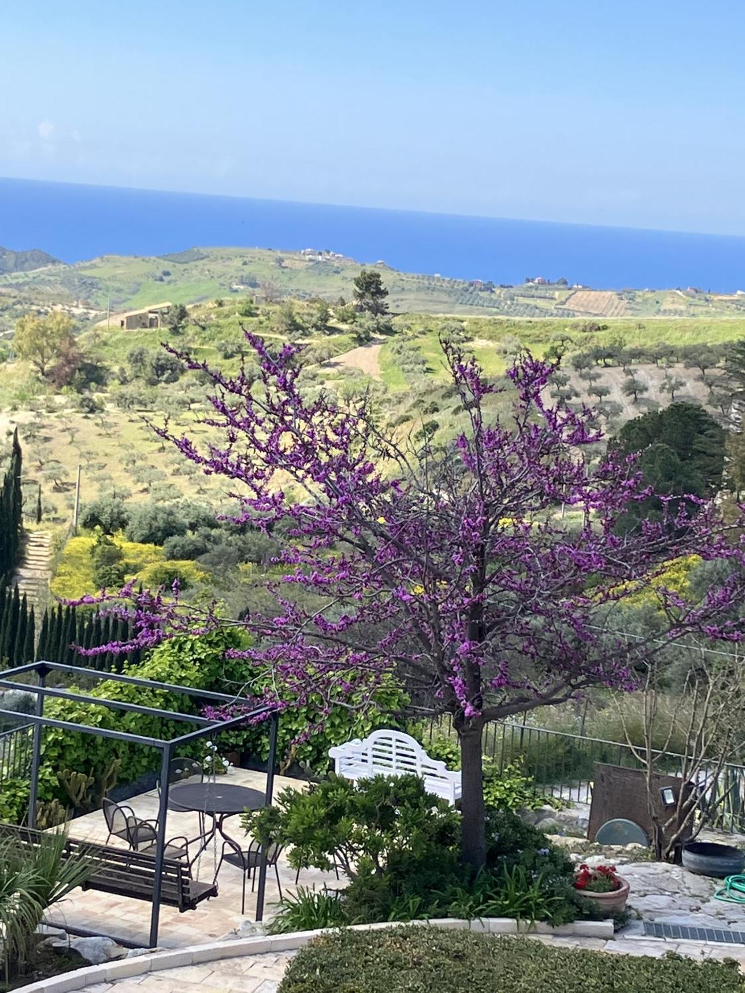 Agriturismo Casa Balata Realmonte Exterior foto