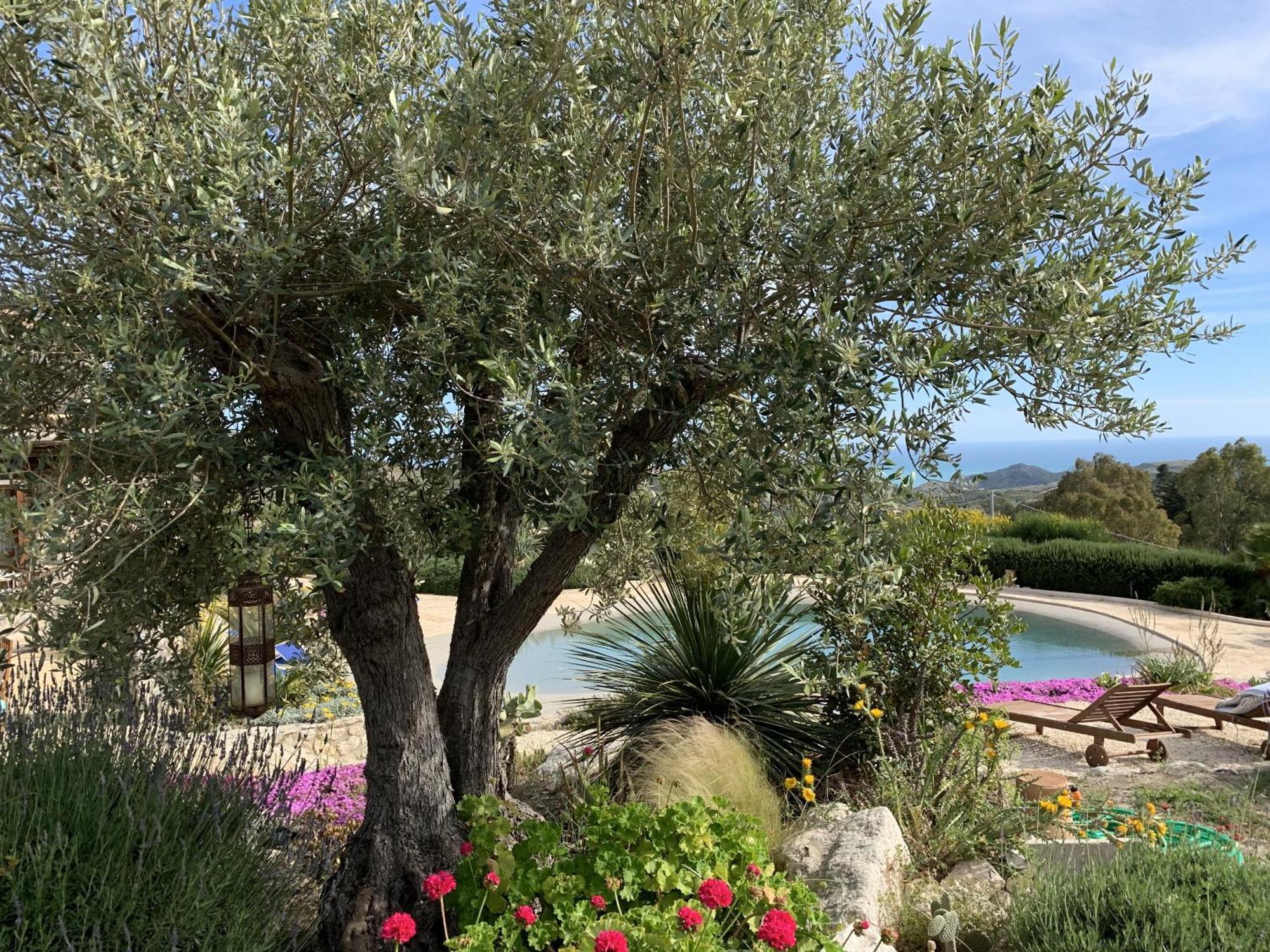 Agriturismo Casa Balata Realmonte Exterior foto