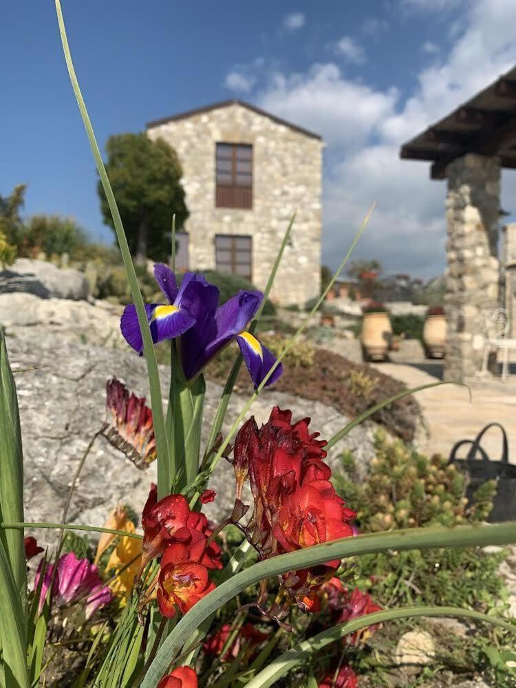 Agriturismo Casa Balata Realmonte Exterior foto